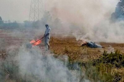 Punjab Witnessed 13,274 Incidents of Wheat Stubble Burning Since Mid-April