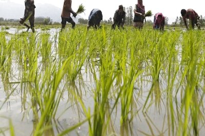 Crop Insurance Claims Hit New Lows in MP Villages