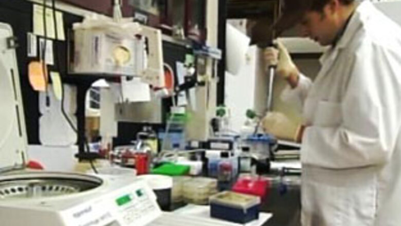 Stem-cell stocks jump on expected Obama policy