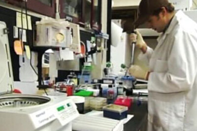 Stem-cell stocks jump on expected Obama policy