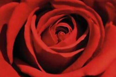 Actress, designer Simple Kapadia dies in Mumbai