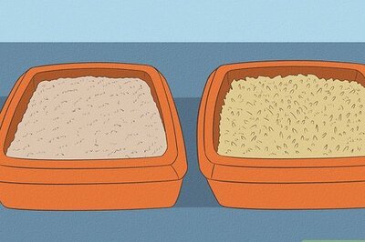 How to Maintain Your Kitten's Litter Box