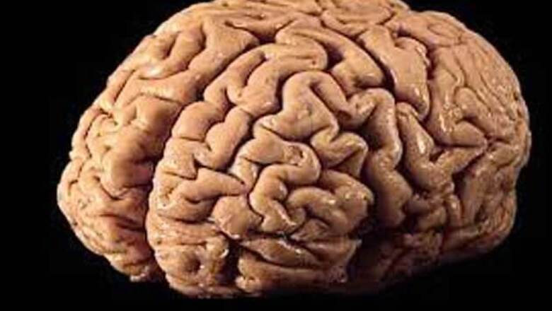 Brain dead man's organs donated in Kozhikode