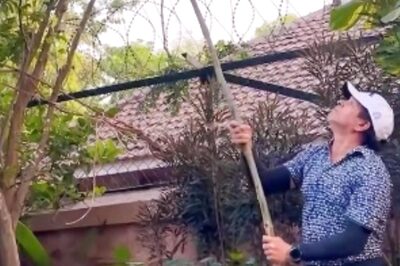 Watch: Sachin Tendulkar's 'Paid Promotion' as he Picks Fruit From a Tree
