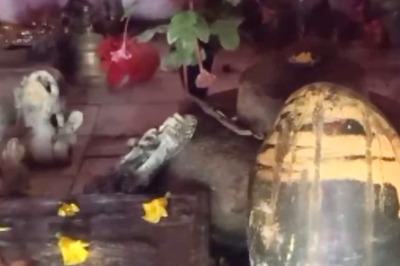 In This Madhya Pradesh Village, Locals Visit Bidehi Baba Temple To Cure Snake Bite