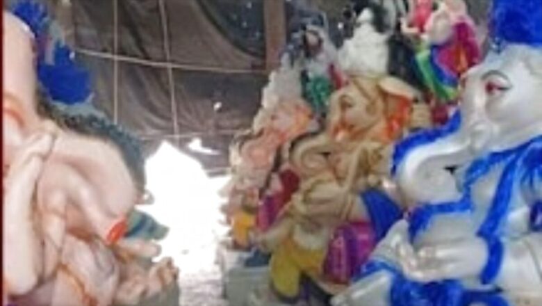 Be Careful of Stingray and Jellyfish Bites During Ganesh Idol Immersion in Sea: Mumbai Civic Body