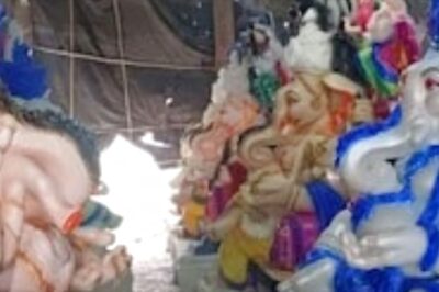 Be Careful of Stingray and Jellyfish Bites During Ganesh Idol Immersion in Sea: Mumbai Civic Body