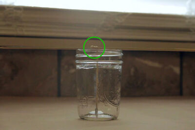 How to Make Bacon Candles