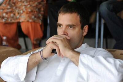 Traffic Ban on Highway Through Bandipur Causing Trouble to Lakhs in Kerala, K'taka, Says Rahul Gandhi