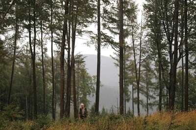 Of Different Tales From The Vienna Woods