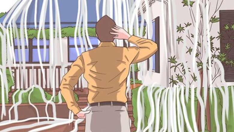 How to Clean up a Toilet Papered House