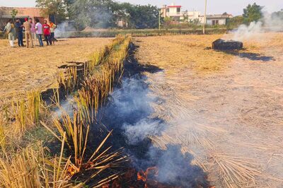 Haryana Curbs Stubble Burning but Punjab Smoulders, Why High AQI in Delhi-NCR is Public Health Crisis