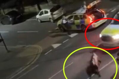 Caught On Cam: UK Cops Ram Cow With Their Car, Govt Demands ‘Urgent, Full’ Explanation