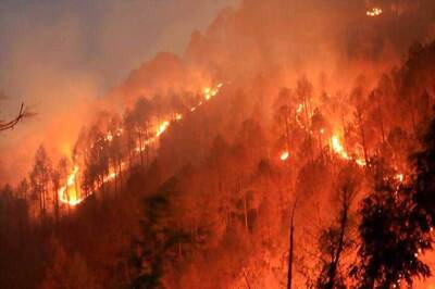 Forest Fires Rage Across Uttarakhand, Air Force Help Sought