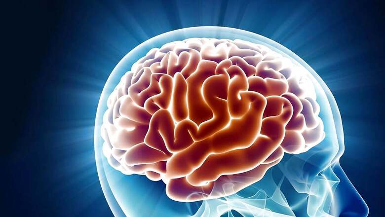 Preventing Neurological Disorders: Key Things To Remember