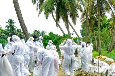 Kerala Bird Flu Outbreak: What Is H5N1? All You Need To Know About Symptoms & Precautionary Measures