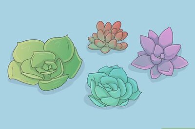 How to Make a Succulent Boutonniere