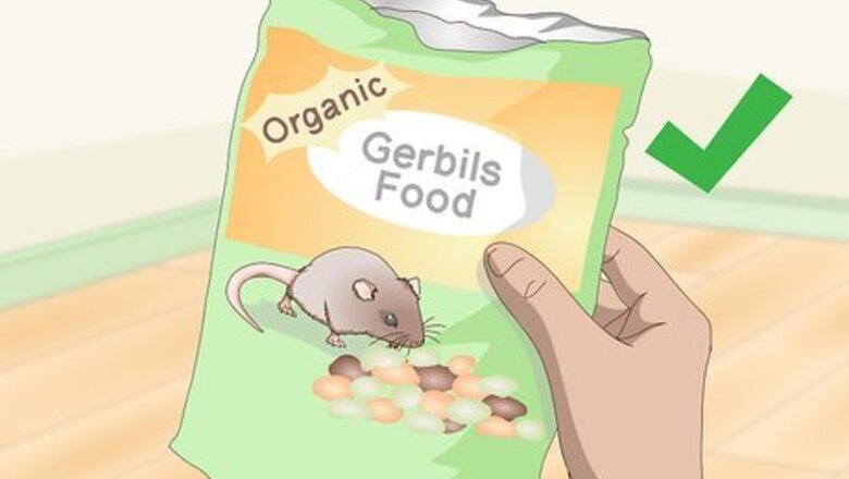 How to Spoil Your Gerbils