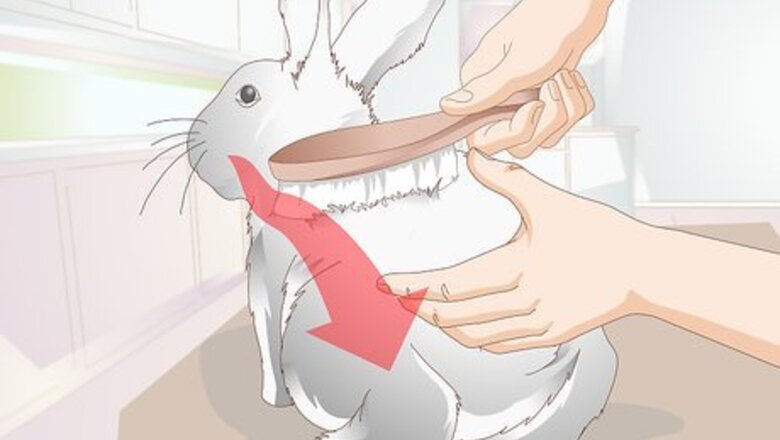 How to Keep a Rabbit Clean