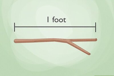 How to Create a DIY Dowsing Rod