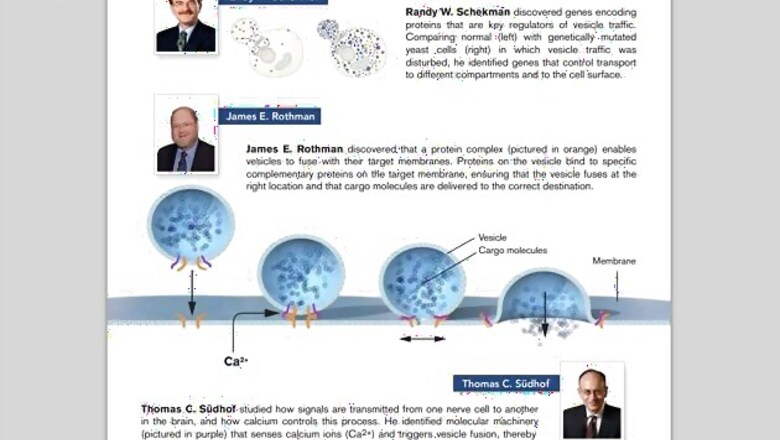 Two Americans, German win Nobel medicine prize