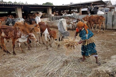 NHRC notice to Jharkhand over Muslim cattle traders' death