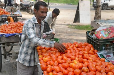 LPG Subsidy, Onion-Tomato Price Control, Rice Export Cut, Pulses Import: Modi Govt’s 5-pronged War on Inflation