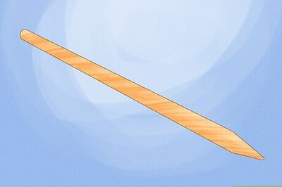 How to Stake up a Bush or Tree