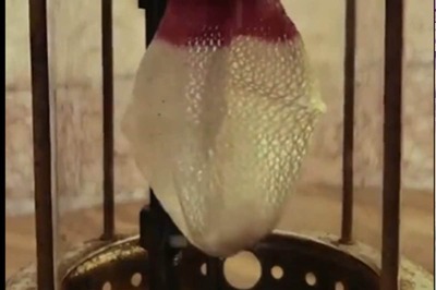 This Video Of Gas Lantern Will Remind You Of Days When Life Was Simpler