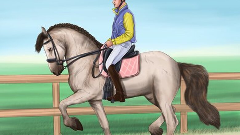 How to Teach Your Horse to Piaffe