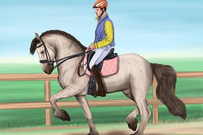How to Teach Your Horse to Piaffe