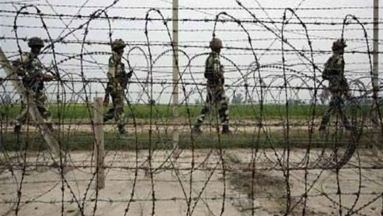 16 Animals Die as Pakistan Violates Ceasefire Along LoC in J&K's Rajouri, Poonch