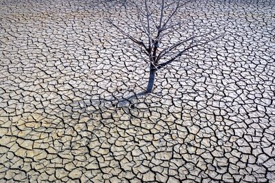 UN: 'Planet On The Brink' as Climate Report Signals Record Heat In Hottest Decade On Record