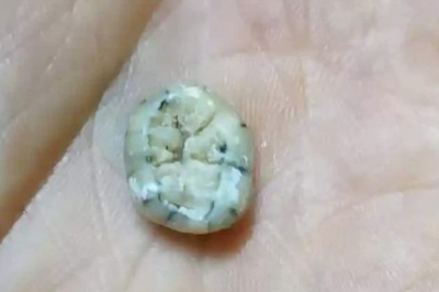 Child's 1,30,000-year-old Tooth Could Uncover the Untold Story of Extinct Ancestors