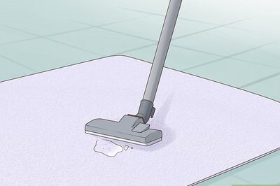 How to Neutralize Dog Urine Odors