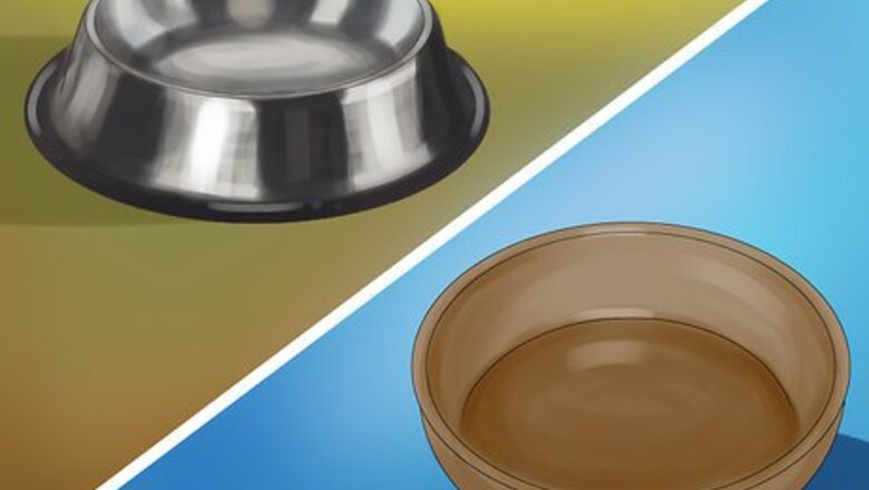 How to Choose Food and Water Dishes for Your Cat