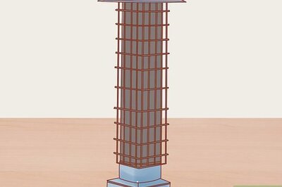 How to Hand Feed a Squirrel