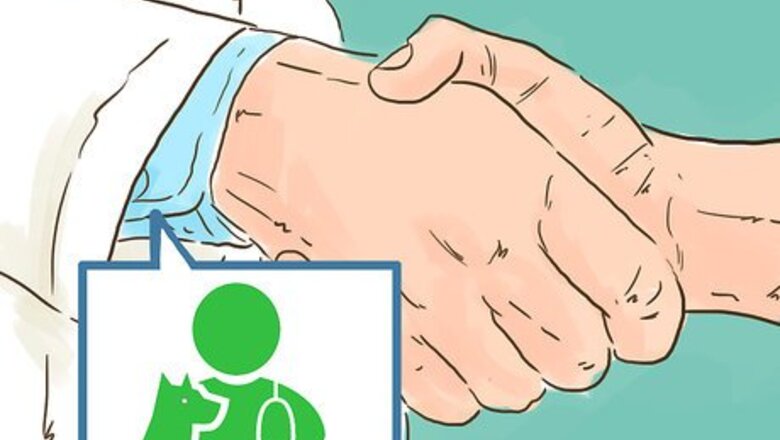 How to Work with Your Veterinarian to Reduce Costs