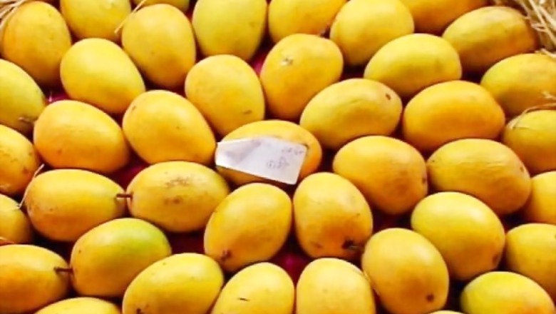 UP: Two killed in clash over plucking of mangoes