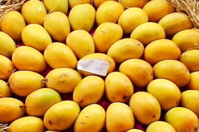 UP: Two killed in clash over plucking of mangoes