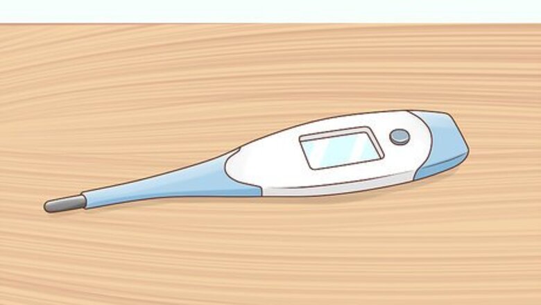 How to Read a Cat's Vital Signs