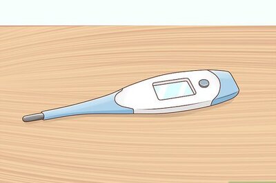 How to Read a Cat's Vital Signs