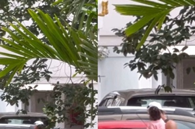 Ranbir Kapoor Carries Raha In His Arms As He Gets Papped While Enjoying A Stroll; Video Goes Viral