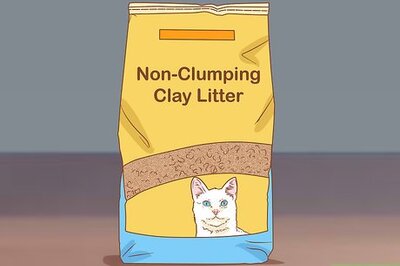How to Keep Litter from Clumping in Your Kitty's Paws