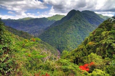 How to Take it 'Despacito' in Puerto Rico