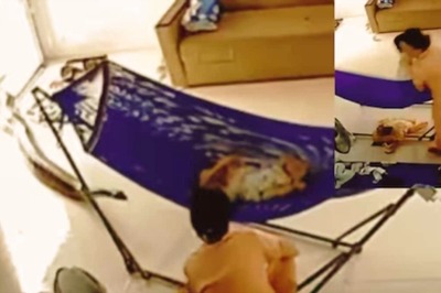 Woman Spots A Huge Python Near Her Newborn’s Hammock, Here’s What Happens Next