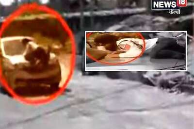 Ludhiana Traffic Cop Dragged on Car's Bonnet for 1 Km, Video Goes Viral | WATCH