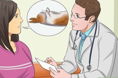 How to Put Your Rabbit in a Trance