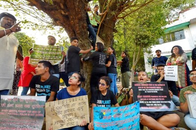 How Can Saplings Replace Full-Grown Trees? HC Pulls up Authorities Over Delhi Redevelopment Plan