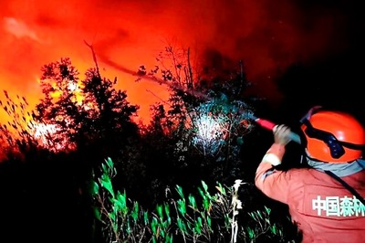 International Firefighters Day 2020: All You Need to Know